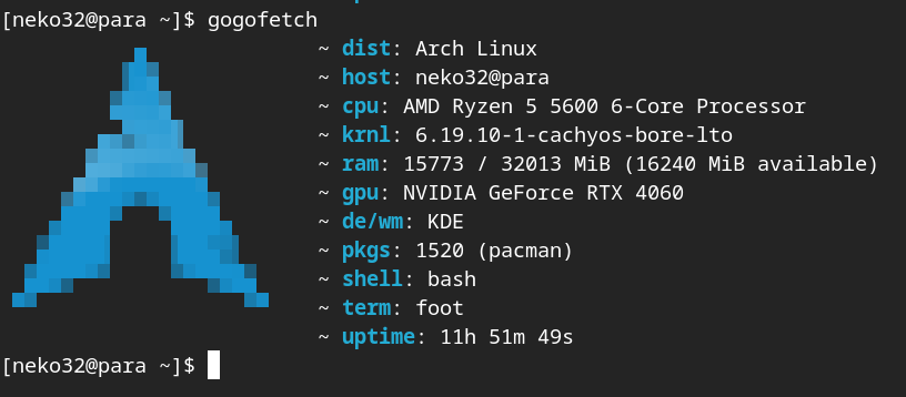 foot goGoFetch: foot screenshot